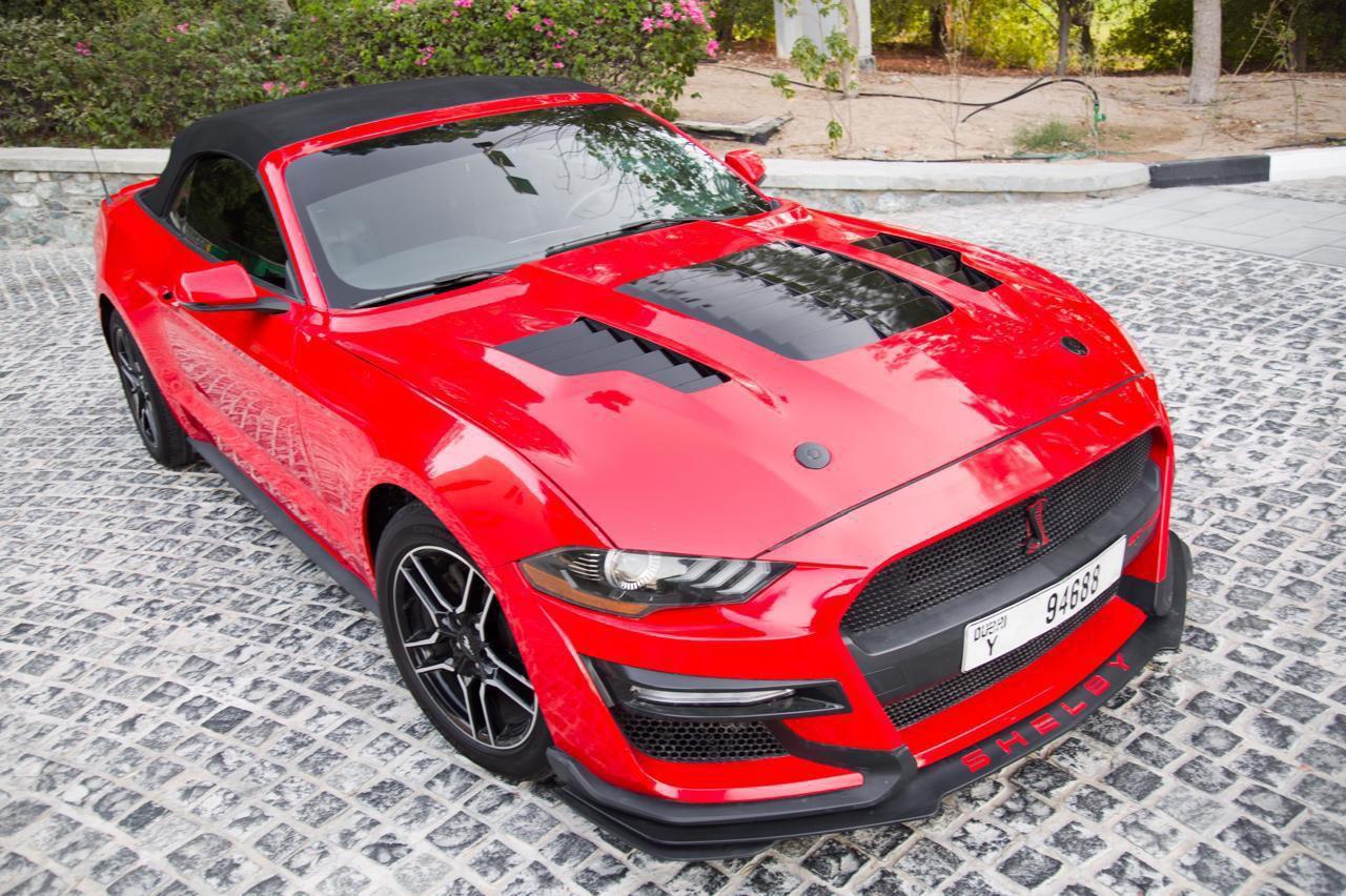 Ford Mustang Shellby GT500